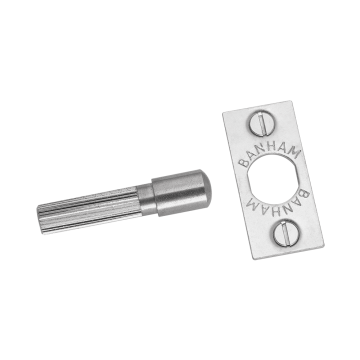 Banham H103 Banham Hinge Bolts Chrome